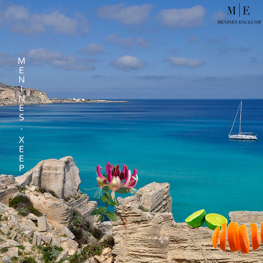 XEEP inspirado no ERBA PURA da Xerjoff